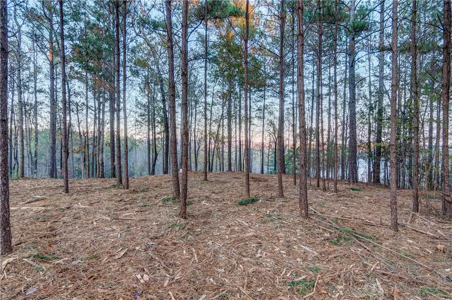 325 Button Wood Court, Salem, SC 29676 - #3