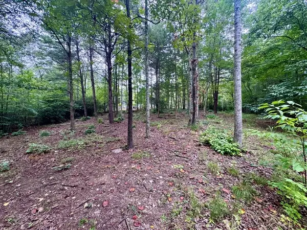 2 Darting Sparrow Way, Marietta, SC 29661