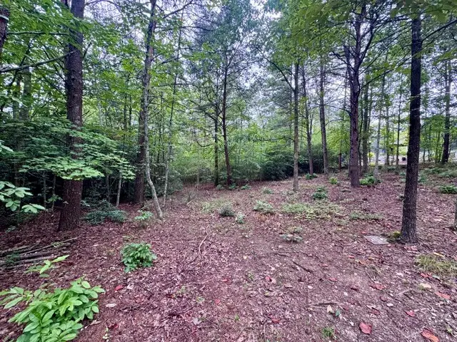 2 Darting Sparrow Way, Marietta, SC 29661 - #3