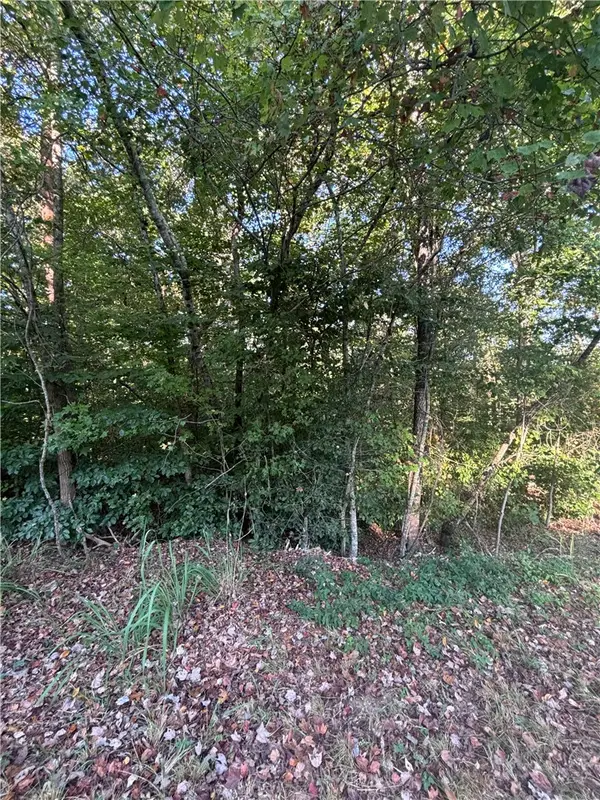 0 Singing Pines Road, Seneca, SC 29678