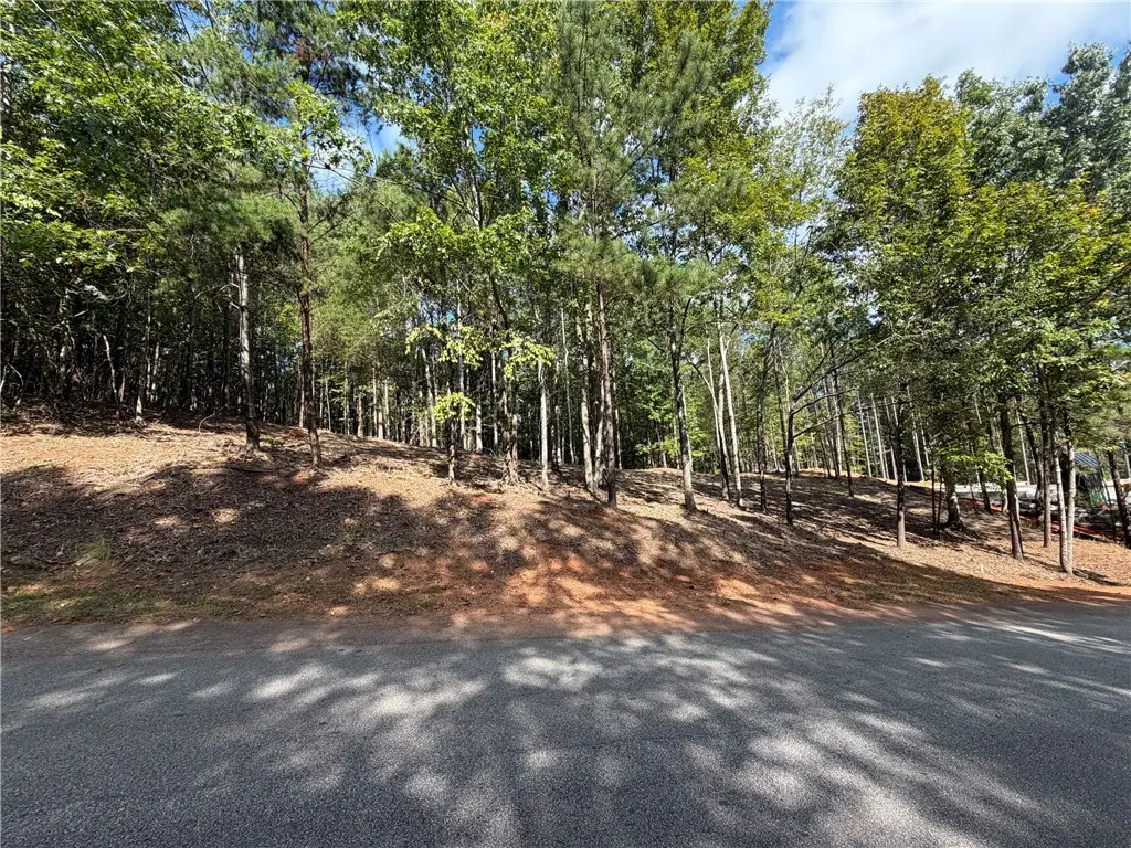 177 Creek Stone Court, Six Mile, SC 29682 - #1