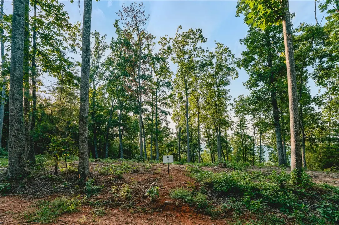 200 Chestnut Mountain Road, Travelers Rest, SC 29690 - #1