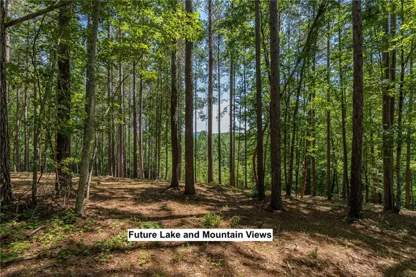 Lot 36 River Birch Way, Salem, SC 29676