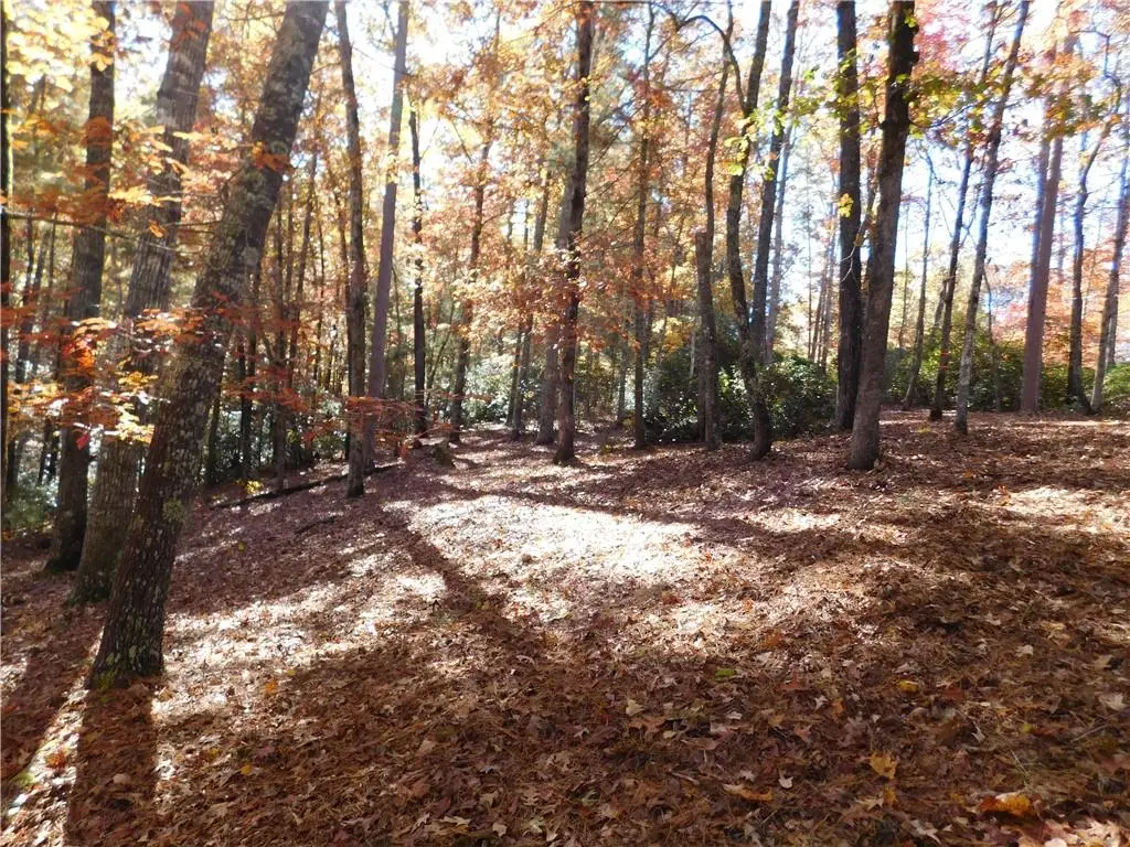130 Cliffs Falls Parkway, Salem, SC 29676 - #1