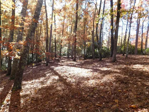 130 Cliffs Falls Parkway, Salem, SC 29676