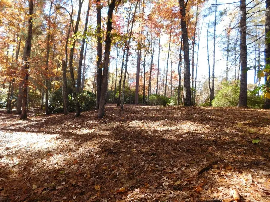 130 Cliffs Falls Parkway, Salem, SC 29676 - #2