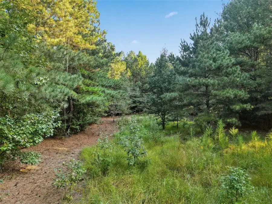 Tract A Five Forks Road, Anderson, SC 29621 - #3