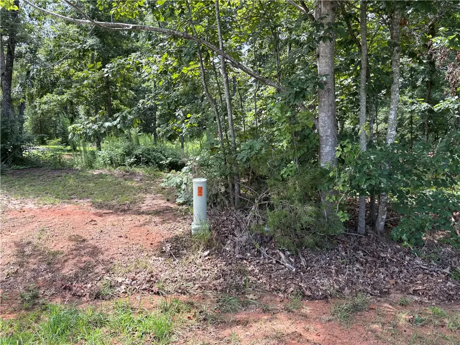 0 Lenhardt Road, Easley, SC 29640 - #3