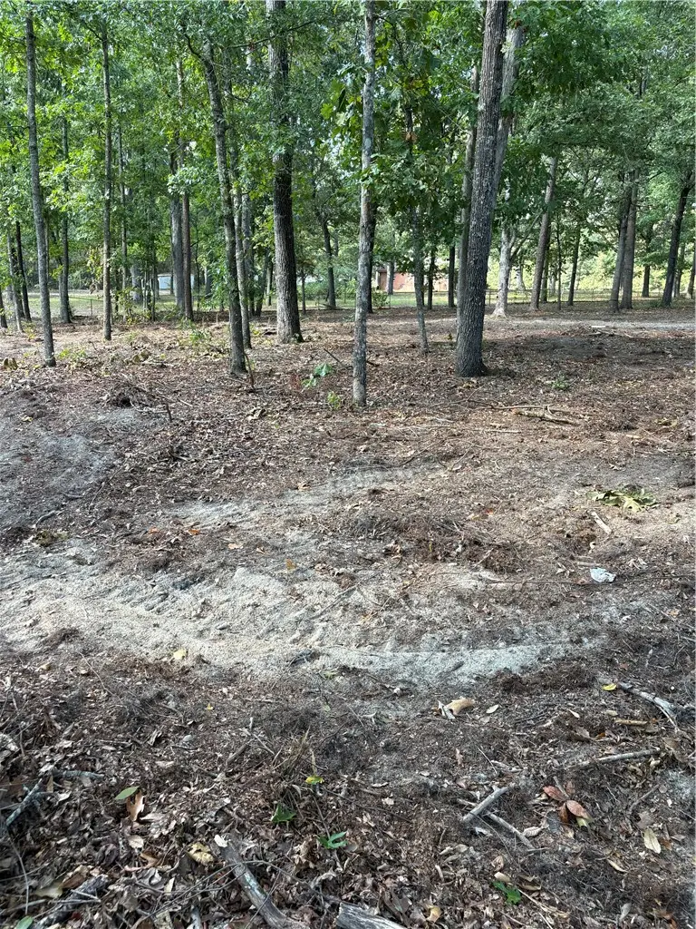 LOT 2 Charles Reed Road, Iva, SC 29655 - #2