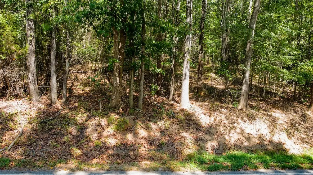 Lot 17 Whiten Road, Belton, SC 29627 - #1