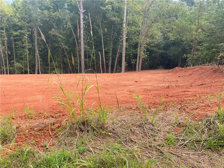 714 Carl Baker Road, Starr, SC 29684 - #2