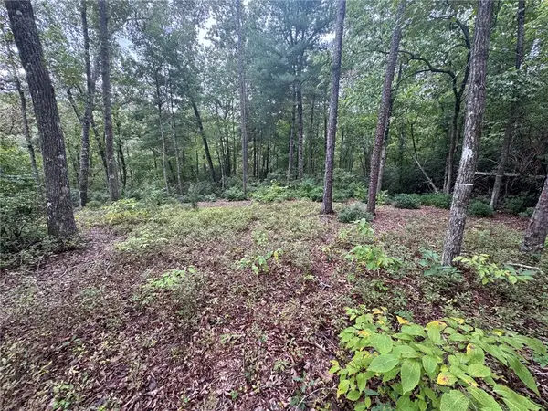 #S46 Cliffs Falls Parkway, Salem, SC 29676