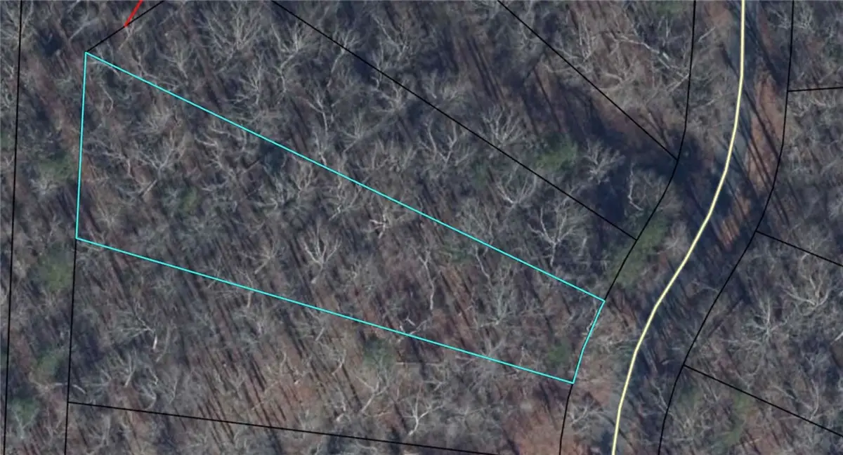 113 N Foxglove Road, Westminster, SC 29693 - #1