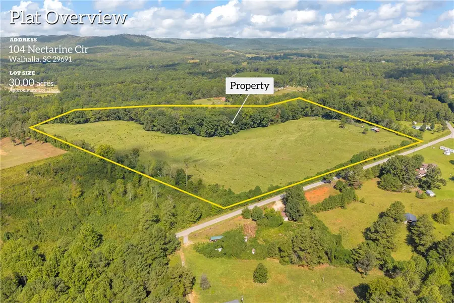 104 Nectarine Circle, Walhalla, SC 29691 - #2