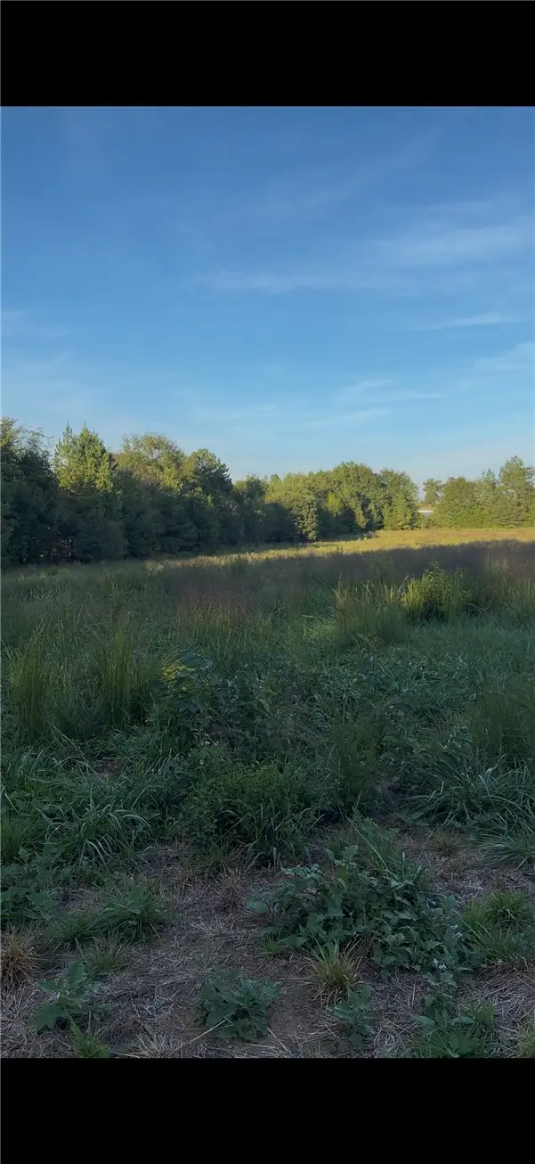 0 Richard Road, Central, SC 29630 - #1