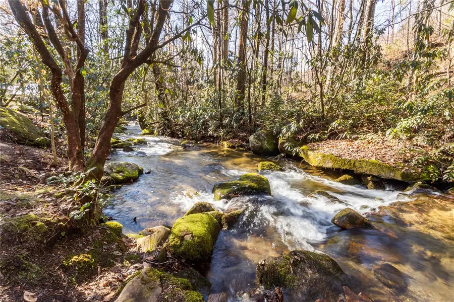 205 Rocky Bottom Road, Sunset, SC 29685 - #2