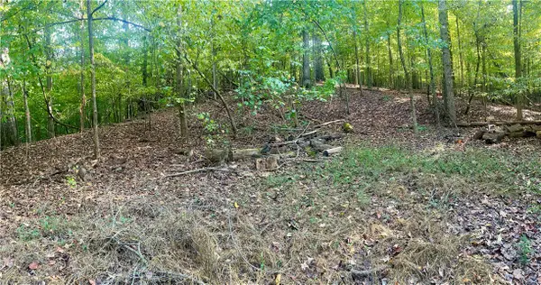 Lot 16 Cranberry Lane #1642, Westminster, SC 29693