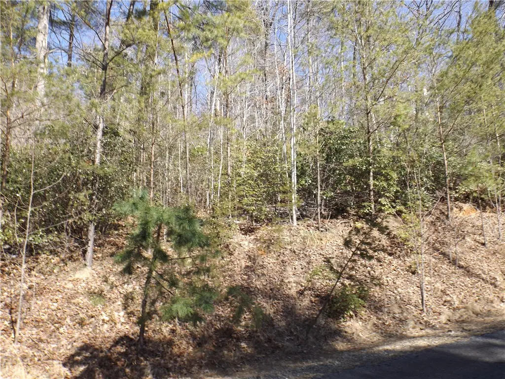 130 Fairway Woods, Pickens, SC 29671 - #1