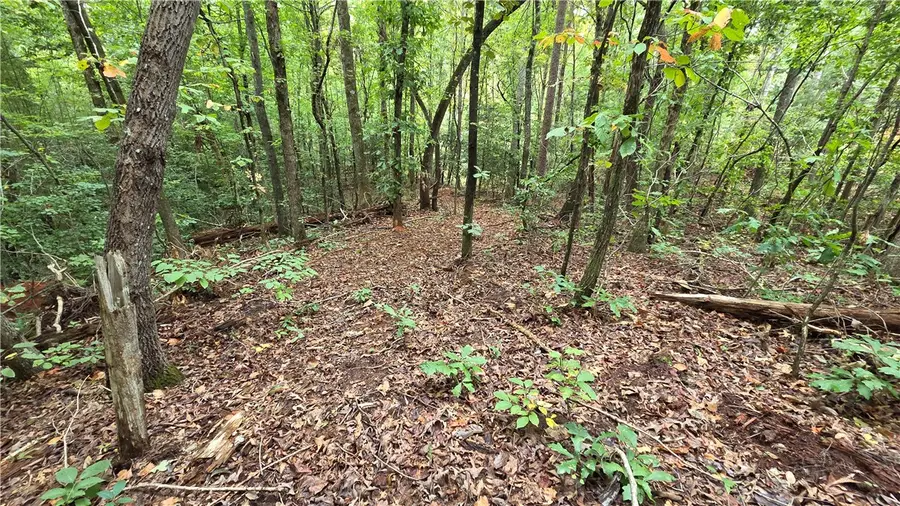 00 San Ford Drive, Easley, SC 29640 - #3