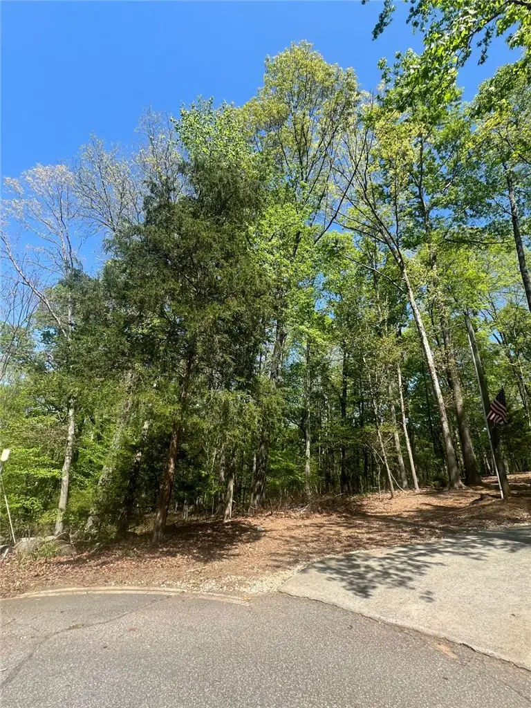 1327 S Arrowhead Drive, Westminster, SC 29693 - #2