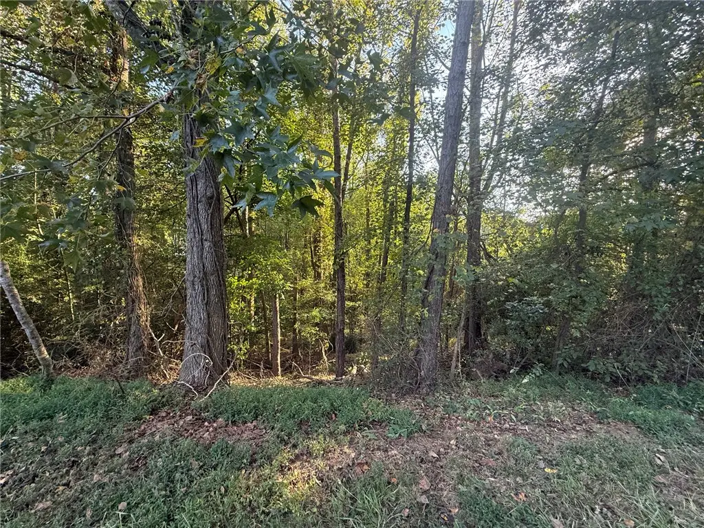 121 Harbor Lane, Townville, SC 29689 - #1