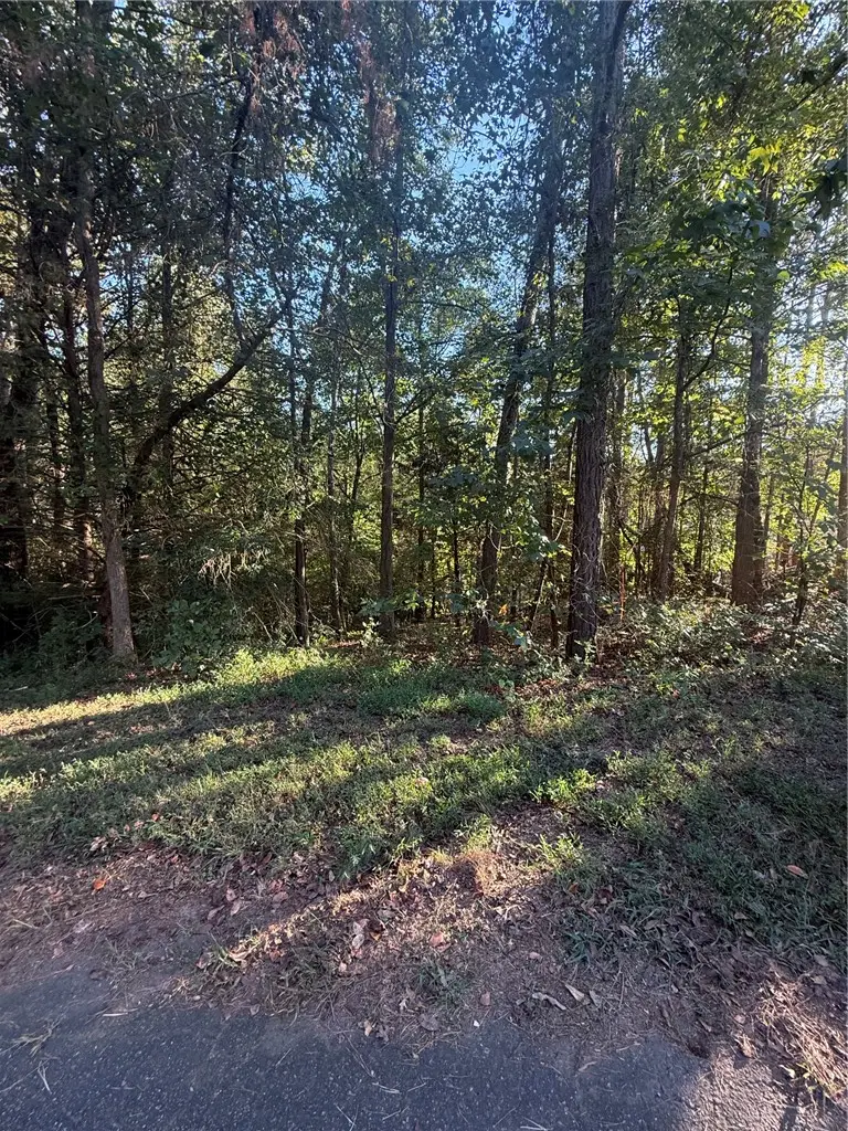 121 Harbor Lane, Townville, SC 29689 - #2