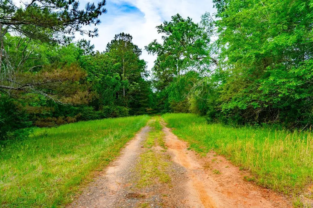 13089 Indian Mound Road, Ware Shoals, SC 29692 - #1