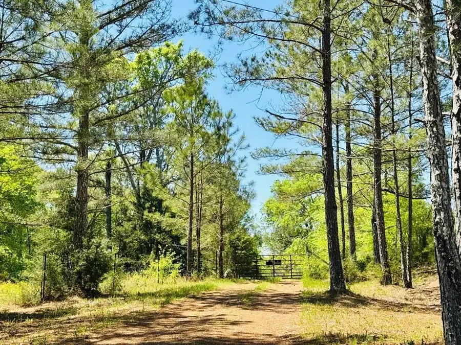 13089 Indian Mound Road, Ware Shoals, SC 29692 - #3