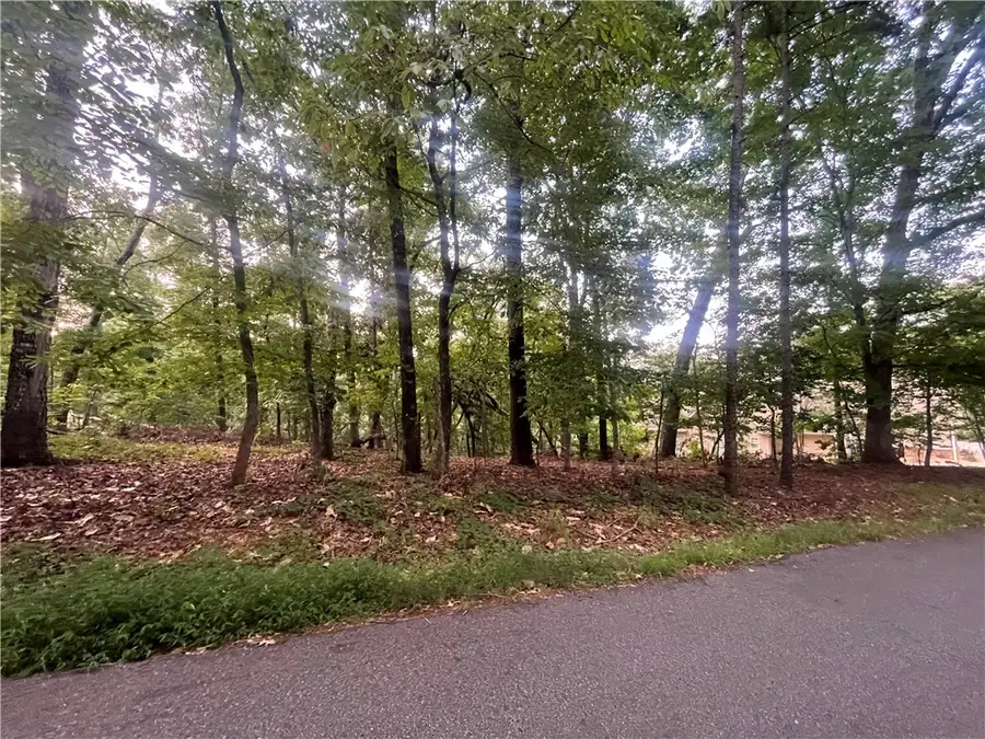 0 Craig Lane, Salem, SC 29676 - #3