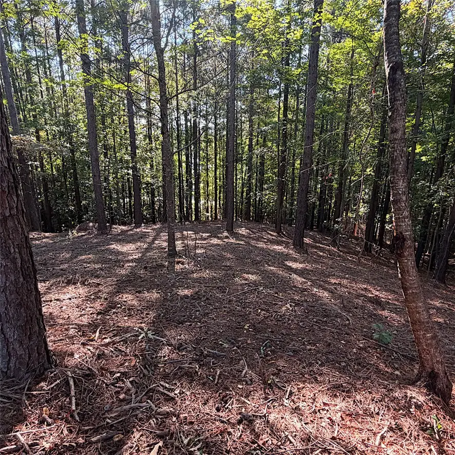 Lot 40 Jasmine Point, Salem, SC 29676 - #1
