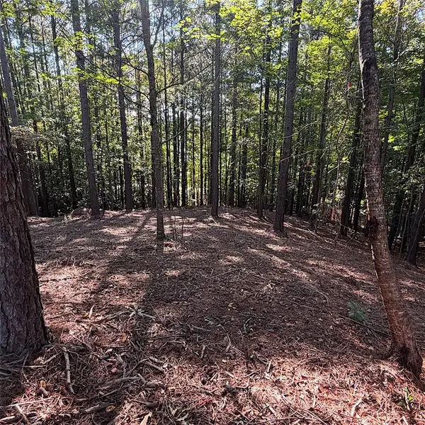 Lot 40 Jasmine Point, Salem, SC 29676