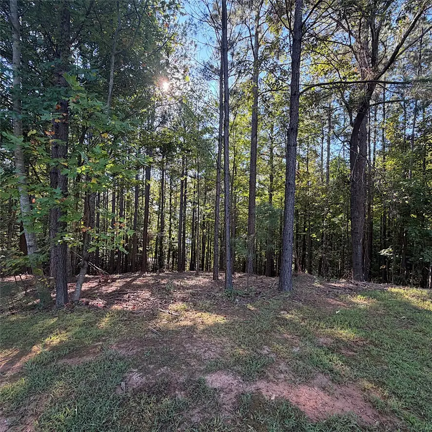 Lot 40 Jasmine Point, Salem, SC 29676 - #2