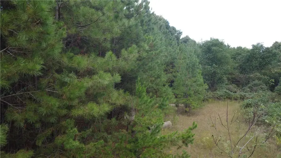 3 Red Apple Lane, Seneca, SC 29678 - #3