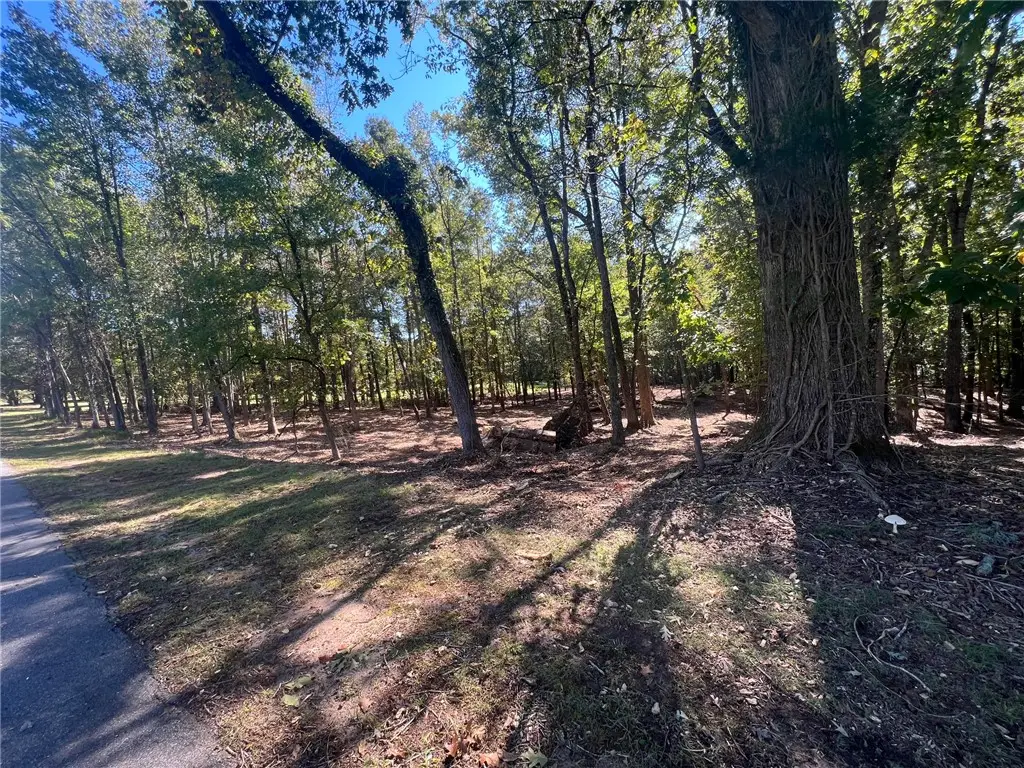 104 Shady Lane, Townville, SC 29689 - #1