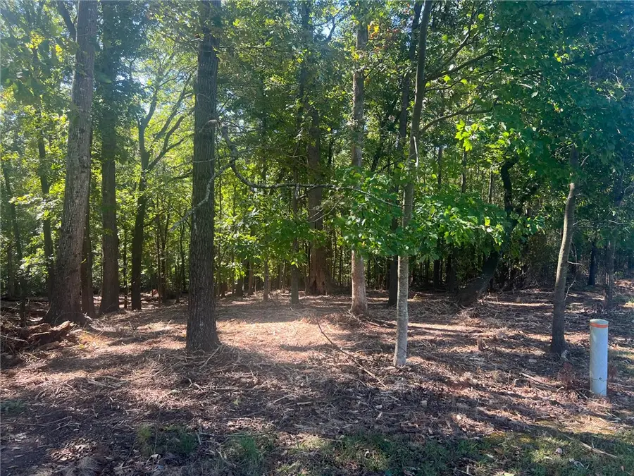 104 Shady Lane, Townville, SC 29689 - #2