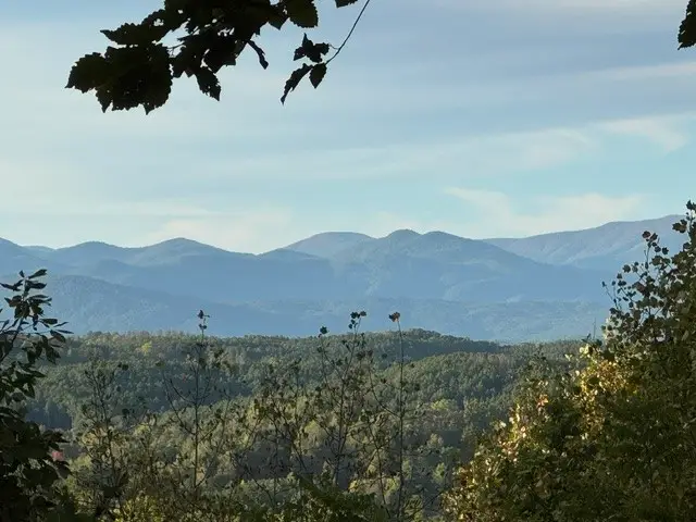 543 Cliffs Vista Parkway, Six Mile, SC 29682 - #3