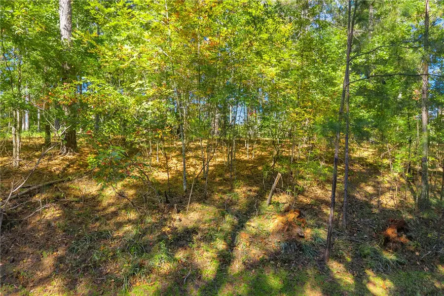 Lot 122 Brookgreen Cliffs At Keowee Falls South Laurel Points Trail, Salem, SC 29676 - #2