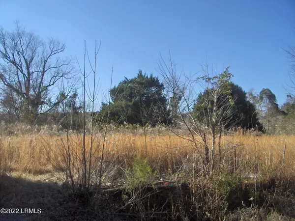 Tbd Barwick Road, Barnwell, SC 29812