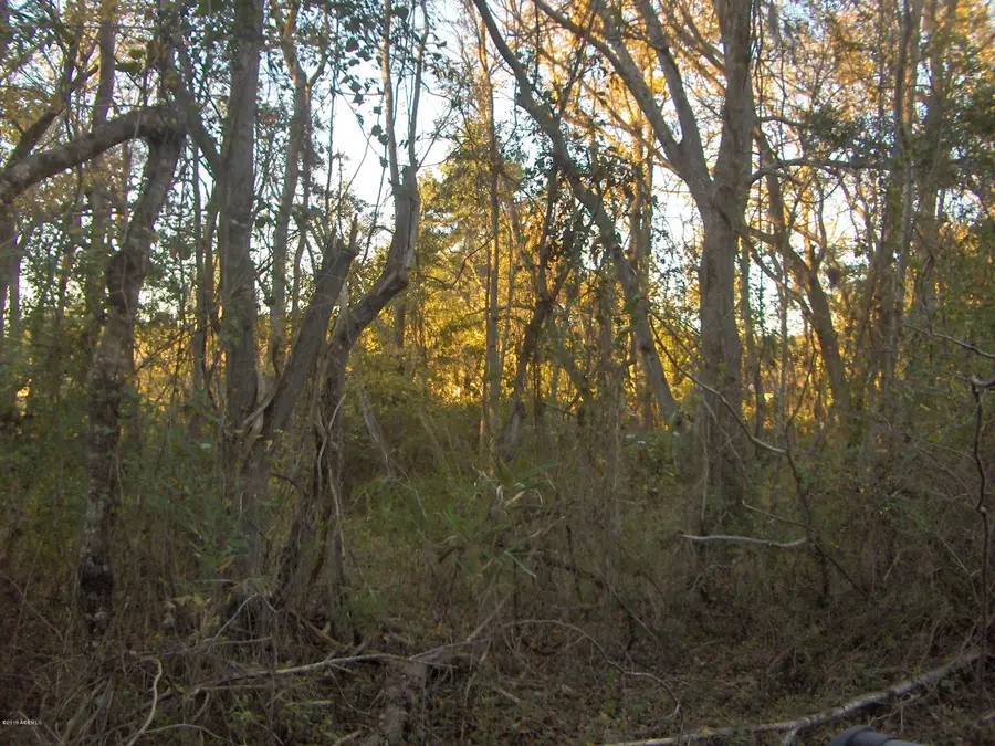 411 Preschool, Ridgeland, SC 29936 - Image #3