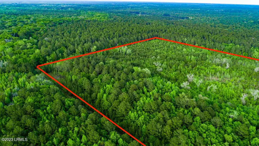 Tbd Dunham Williams Road, Hardeeville, SC 29927 - #2