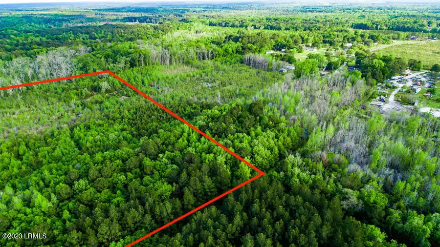 Tbd Dunham Williams Road, Hardeeville, SC 29927 - #3