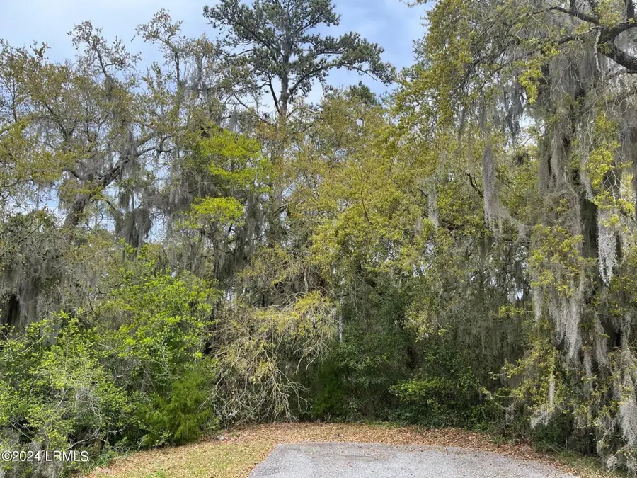 20 Wilderness Drive W, Beaufort, SC 29907 - Image #3