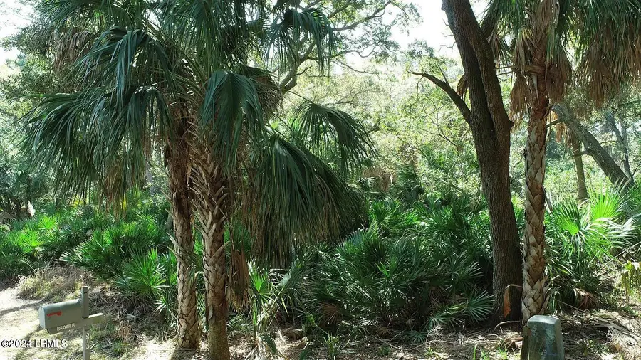 372 Pike Drive, Fripp Island, SC 29920 - Image #2