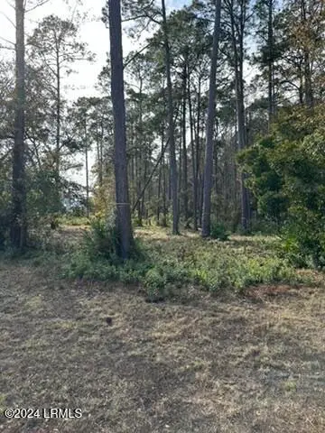 14 Remington Road, Bluffton, SC 29910 - Image #2