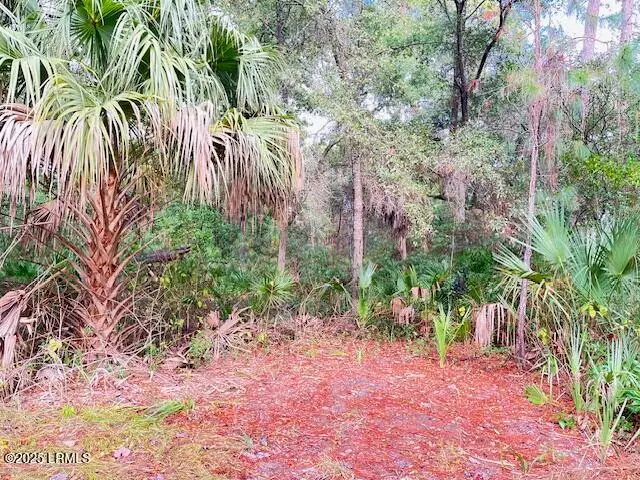 10 Ocean Marsh Court, Saint Helena Island, SC 29920 - Image #1