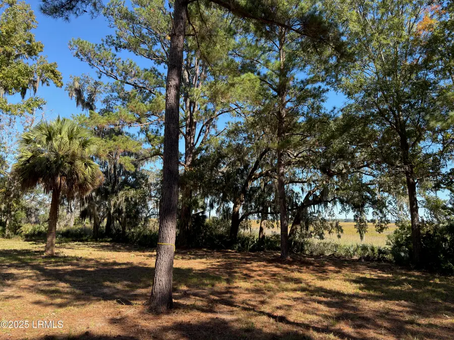 2497 Knowles Island Road, Ridgeland, SC 29936 - Image #3