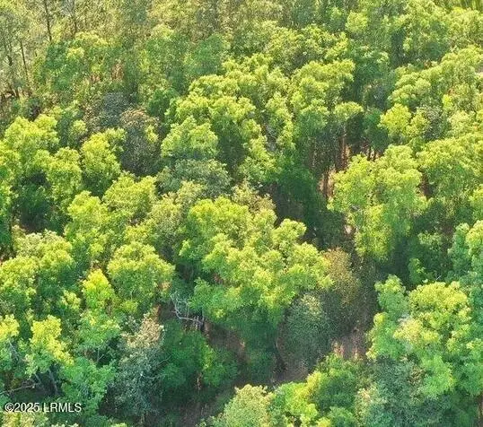 8 Stephens Path, Seabrook, SC 29940 - Image #3