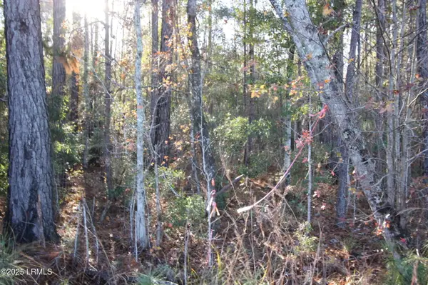 Tbd Main Or Walterboro # 63 Highway N, Varnville, SC 29944