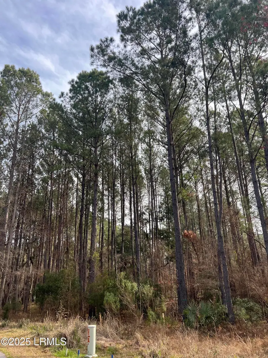 00 Chicora Lane, Yemassee, SC 29945 - Image #2