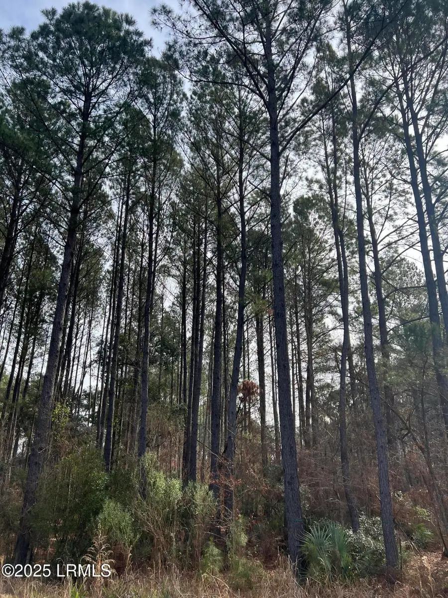 00 Chicora Lane, Yemassee, SC 29945 - Image #3